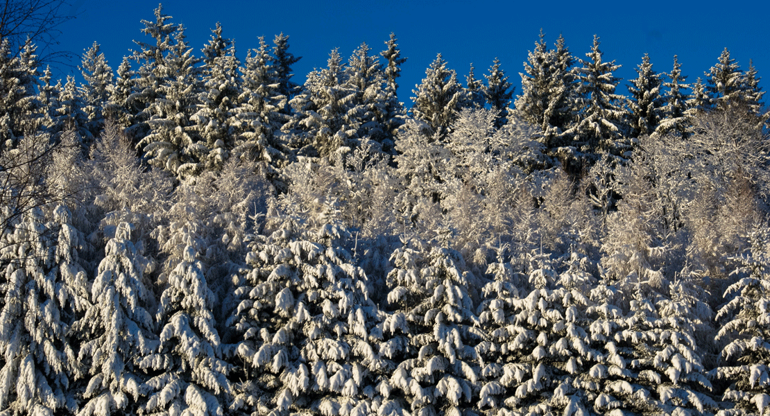 Zima w Rudawach Janowickich